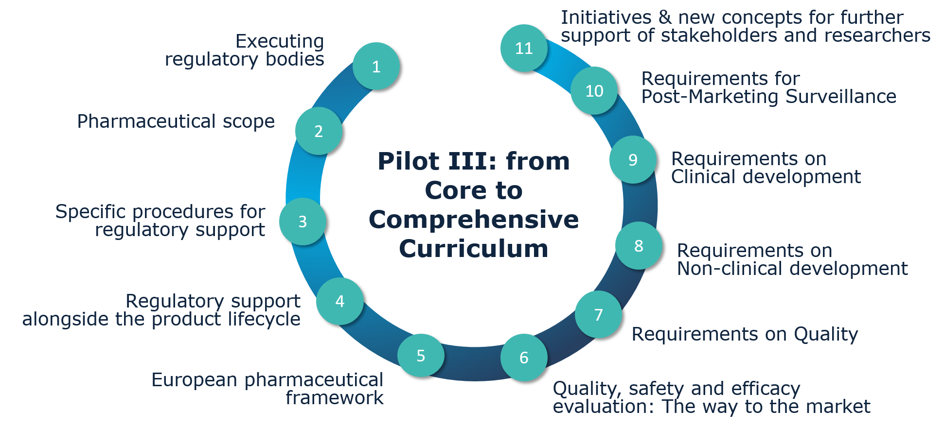 Pilot III launched the Comprehensive Curriculum, offering online training on EU regulations, NCA support, and product development, including quality, non-clinical, clinical, and post-marketing topics, integrated with the Core Curriculum. (Source: STARS consortium) Pilot III launched the Comprehensive Curriculum, offering online training on EU regulations, NCA support, and product development, including quality, non-clinical, clinical, and post-marketing topics, integrated with the Core Curriculum.